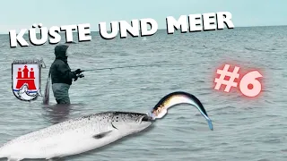 KÜSTE UND MEER #6 (DEN HERINGSFRESSER ÜBERLISTET)