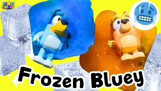 Bluey Toys - Bluey & Bingo are Frozen by Elsa Compilation!