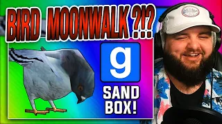 Vanoss Crew Gmod: Bird Simulator! (Garry's Mod Sandbox Funny Moments) - Reaction