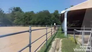 Io e il mio cavallo Jack! Due spiriti liberi!😊😍🐴