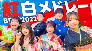 2022年に流行った紅白歌合戦出場アーティストの人気曲をメドレーにして歌ってみた！！！【Habit / なにわ男子 / Ado /Official髭男dism / NiziU】