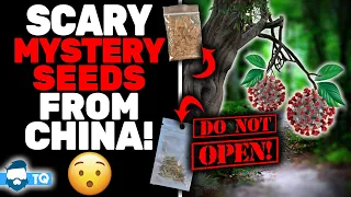 Beware Mystery Seeds From China! The TRUTH About The Panic!