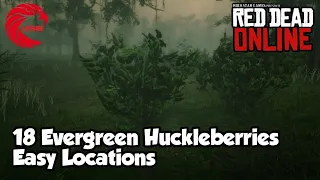 Evergreen Huckleberries Locations rdr2 Online - Red Dead Online Evergreen Huckleberries Location