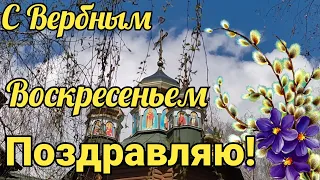 🌷Красивое Поздравление с Вербным Воскресеньем!Красивая Песня!Музыкальная Открытка!🌷