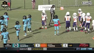 BESSEMER TIGERS VS TRU MOCEAN SHARKS 6U  (SEMI GAME)