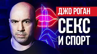 Джордан Питерсон | Джо Роган: секс и спорт