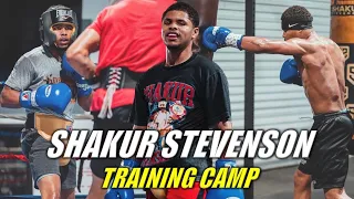 Shakur Stevenson Training Camp