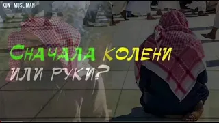 СНАЧАЛА КОЛЕНИ ИЛИ РУКИ ~ШЕЙХ ХАЛИД АЛЬ-ФУЛЕЙДЖ