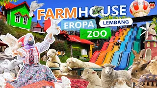 FARMHOUSE LEMBANG! Wisata Peternakan Hewan Rasa Eropa yang Ngehits | Review dan Informasi Lengkap