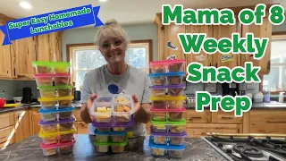 MAMA OF 8~WEEKLY LUNCH PREP/ HOMEMADE LUNCHABLES