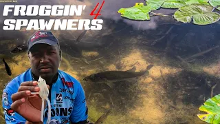 Catch Spawn Bass | Froggin' with Ish