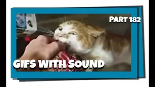 Gifs With Sound Mix - Part 182