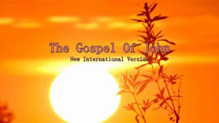 The Gospel of John (NIV)