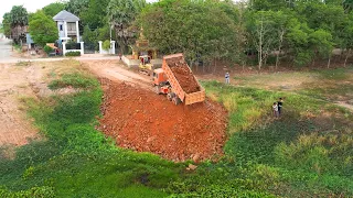 Wow So Cool Project!! Dozer D37E &​ 15T Truck transporting siol into lake Become to plant seedlings