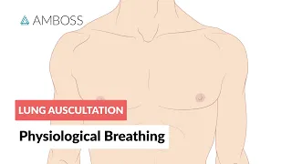 Physiological breathing - Lung Auscultation - Episode 1