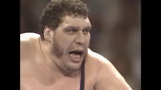 Andre the Giant & Haku vs Demolition 01 23 90