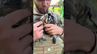 Cute assistant of the Ukrainian soldier #emotional #lifestyle #shorts #Ukraine