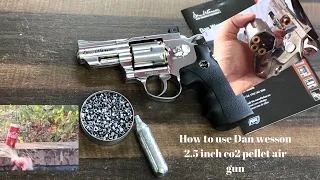 How to use dan wesson 2.5 inch co2 pellet air gun