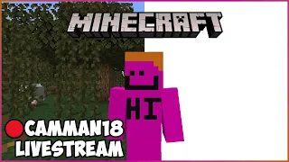 Speedrunning Items in Minecraft But Everything is WHITE camman18 Full Twitch VOD