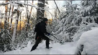 Что можно найти в лесу под снегом!?