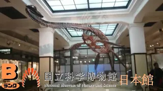 【古生物スポット】国立科学博物館 日本館 (National Museum of Nature and Science,Tokyo)