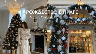 VLOGMAS #3: рождественская Прага, наряжаю ёлку, съемка в студии, отмечаю праздники