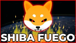 ✅ ESTO ES LO QUE ESTÁ PASANDO CON SHIBA INU AHORA 🐥 DOGECOIN SE PONE A TIRO!! 🚀