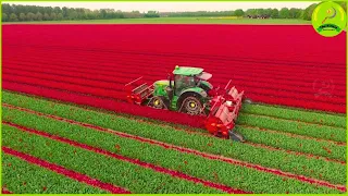 15 Most Satisfying Agriculture Machines and Ingenious Tools ▶50