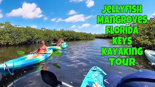 Ep 198 Mangroves Kayaking Jellyfish Creek Florida Keys John Pennekamp Coral Reef State Park Part 3