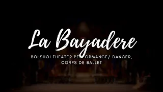 La Bayadere, Bolshoi Theater, 2013