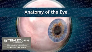 Anatomy of the Eye - Medical Animation