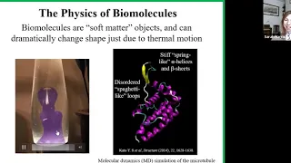 Basics of Biomolecular Simulation