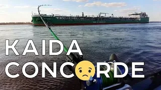 Kaida Concorde: бюджетник для троллинга