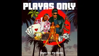 Smoke DZA & Wiz Khalifa - Playa's Only (Official Visualizer)