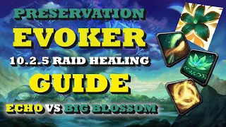 Preservation Evoker Raid Guide | Talent Build & Combos | 10.2.5 Dragonflight