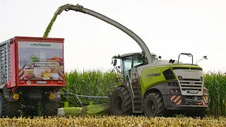 Maishäckseln mit Claas Jaguar 990 + 4 John Deere 6R! LU Nagel Averlak |  Dithmarscher Landwirtschaft