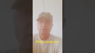 жара ужасная.