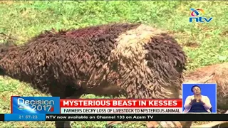 Beast drinks blood from sheep and leaves them to die in Uasin Gishu