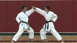 Basic Partner Work: Sanbon Kumite Part 2