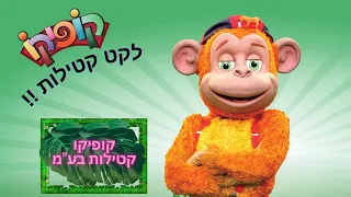 לקט קטילות - קופיקו