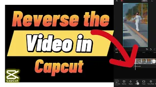 How to Reverse the Video in Capcut (2024)