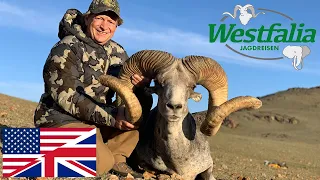 Mongolia adventure - hunting for Argali and Ibex with Westfalia Jagdreisen.