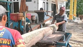 Wujud kayu matoa kering di gergaji buat papan