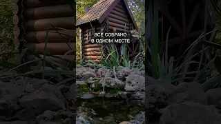 Где брать бесплатные видео для монтажа. Футаж для монтажа видео бесплатно.В телеграм @montazh_school