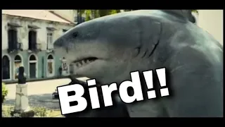 King Shark says “Bird” - The Sucide Squad 2021