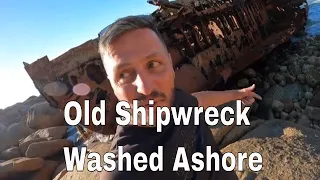 Shipwreck washed ashore after 44yrs