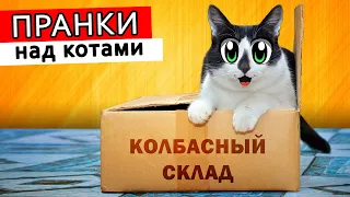 ЛЕТНИЕ ПРАНКИ НАД КОТАМИ! СМЕШНОЙ КОТ МАЛЫШ и КОШКА МУРКА РАЗЫГРАНЫ