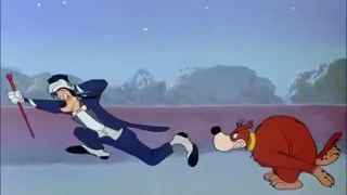 Dingo -  Toux doux, toutou 1952