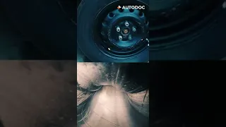 We put a camera inside the wheel | AUTODOC #shorts