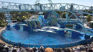 Seaworld San Diego - Dolphin Days 2022